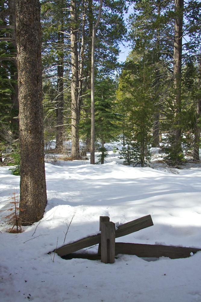 Truckee Donner Lodge Bagian luar foto